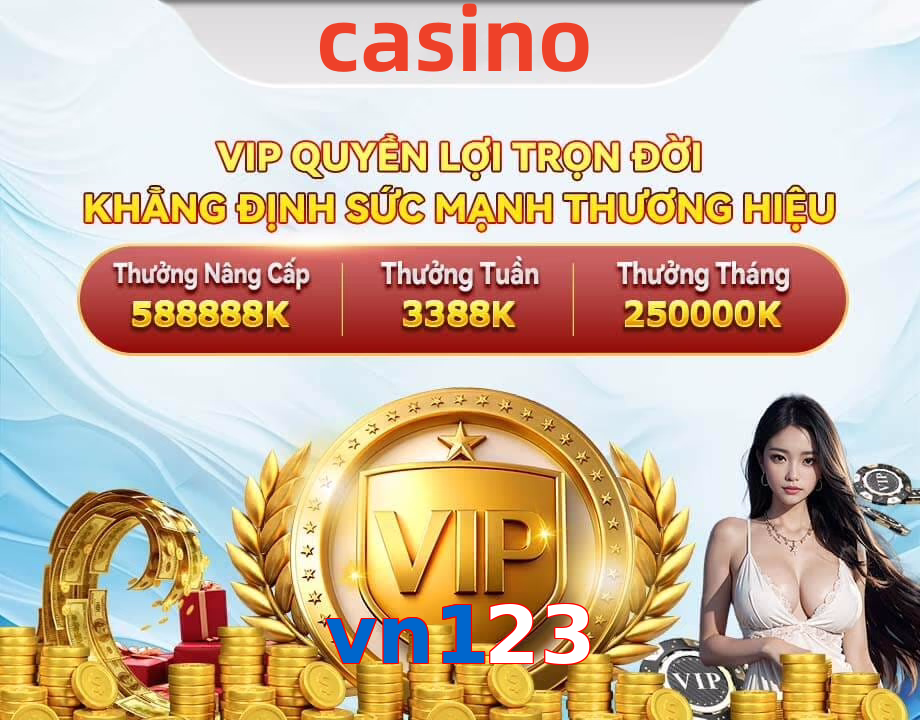 vn123