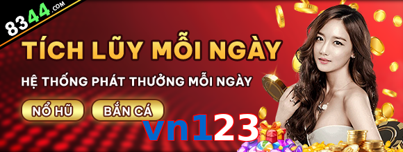 vn123